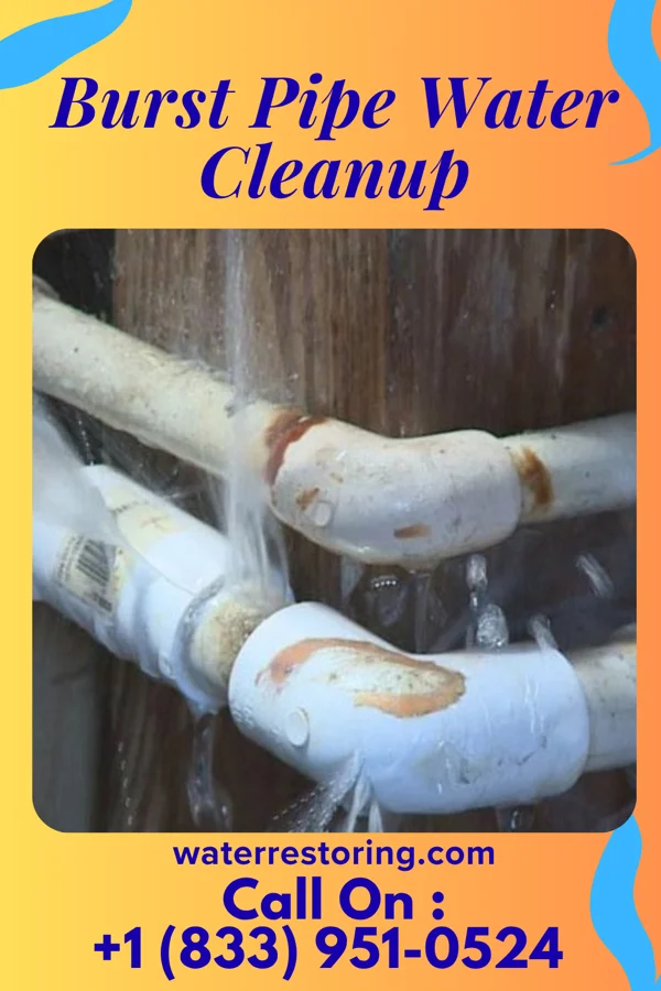Burst Pipe Water Cleanup in Churchill, OH