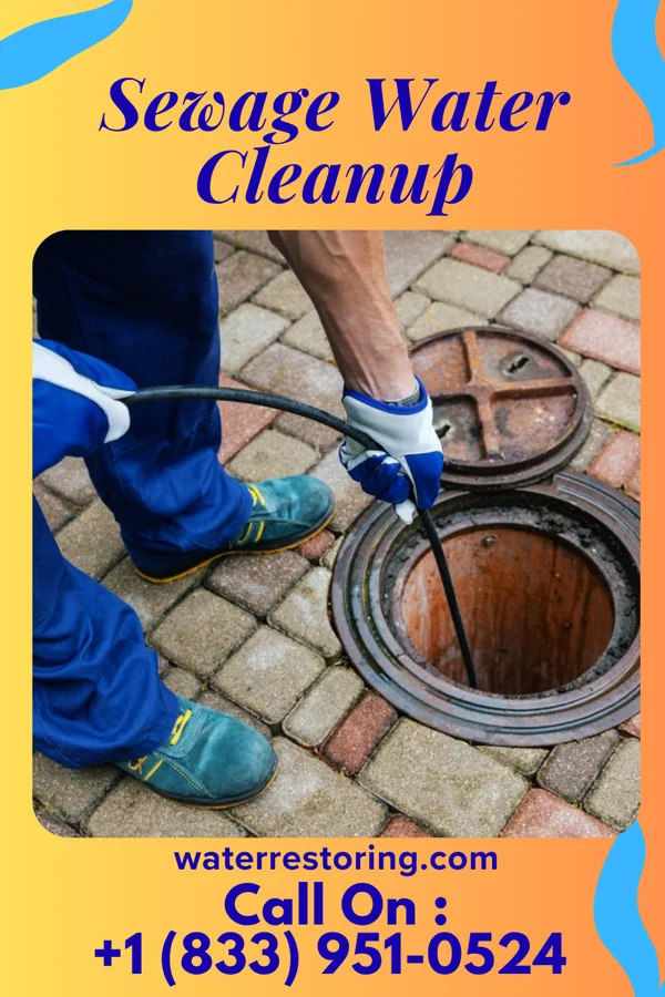 Sewage Water Cleanup in Churchill, OH